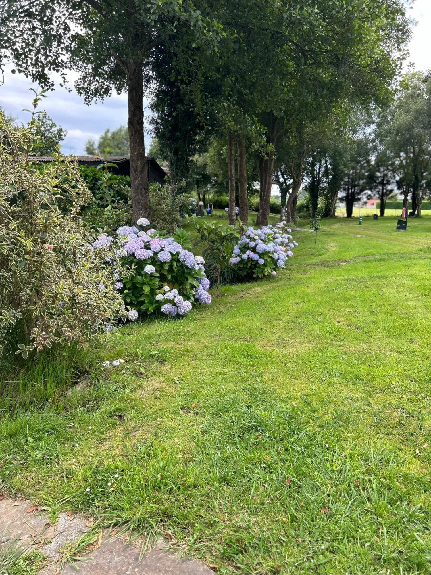 Camping A Grandella *